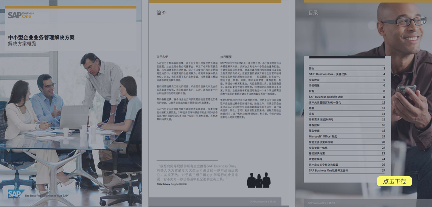 SAP Business One产品白皮书